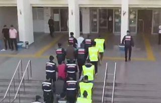15 ilde 54 'Sibergöz'altı!
