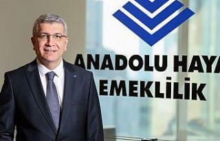 BES'ler artık banka kredilerine teminat olabilecek