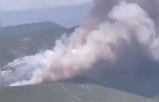 Bursa'da orman yangını!