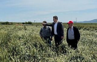 Çakır’dan hububat alım fiyatları eleştirisi