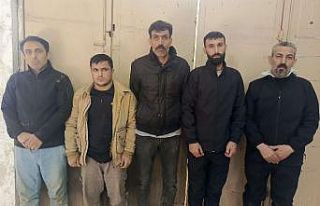5 göçmen yakalandı