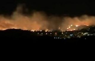 İzmir Dikili'de korkutan yangın