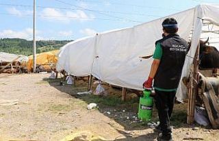 Kocaeli'de öncelik insan sağlığı