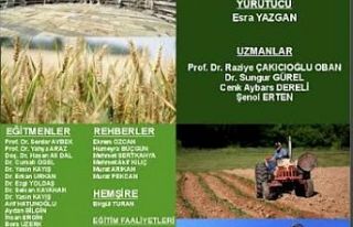 Tarım Toplumundan Sanayi Toplumuna Antik Metropolis'ten...