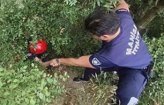 Yamaçtan aşağı düşen vatandaşı itfaiye ekipleri...