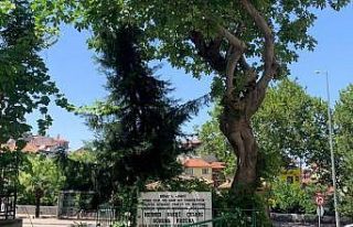 Bursa'da Mehmed Nakşi Çelebi türbesi görenlerin...