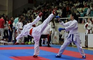Gemlik'te karate şöleni