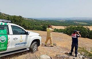 Jandarma orman yangınlarıyla mücadelede ediyor