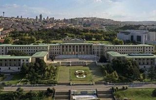 Sahipsiz hayvanlara yönelik teklif TBMM'de