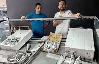 Av sezonu geliyor, balık fiyatları dudak uçuklatıyor