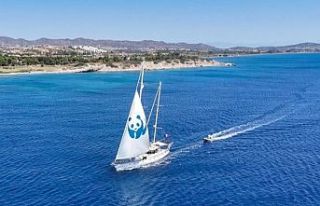 'Blue Panda' Mavi Ormanlar için Türkiye'de