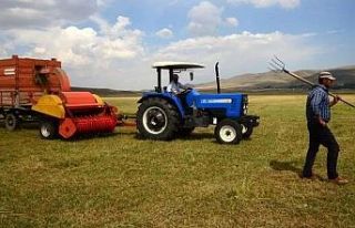 Bu yıl ödenecek bitkisel üretim destekleri belli...