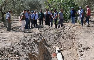 Manisa'da 2 bin 100 dekar arazi Öveçli ile...