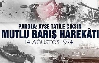 MSB'den 'Mutlu Barış Harekatı' paylaşımı
