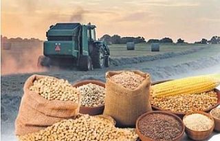 Tarım-ÜFE'de Temmuz verileri açıklandı