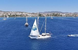 Blue Panda Türkiye'ye veda etti
