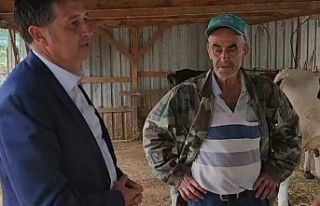 Böyle giderse içecek süt bulamayız