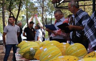 KIRKAĞAÇ’TA 46. KAVUN FESTİVALİ RENKLİ GEÇTİ:...