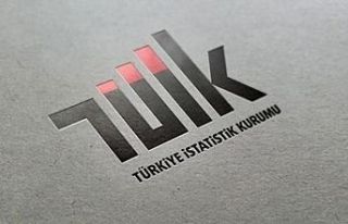 TÜİK Açıkladı; En yüksek net kâr elde eden...