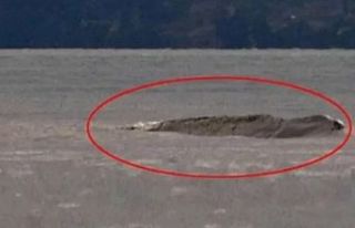 Van Gölü Canavarı efsanesi yeniden canlandı