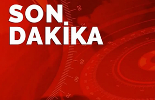 Cinsel istismar ve şiddete uğrayan 2 yaşındaki...