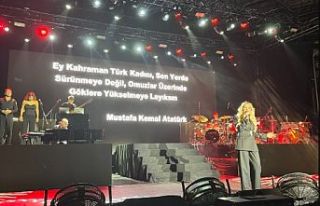 Hadise, sahnede hadise çıkardı