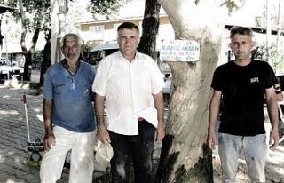 İsimleri diktikleri ağaçlarla yaşıyor