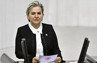 İstanbul Milletvekili Nimet Özdemir, Cumhuriyet...
