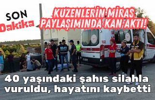 SON DAKİKA! Kuzenlerin miras paylaşımında kan...