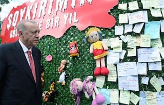 'Soykırımın Gölgesinde Bir Yıl' panosuna...