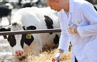 Veteriner harcamaları tarımsal girdide başı çekti