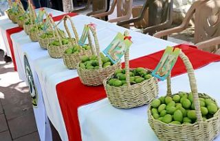 Zeytin Yarışmasında Dereceye Girenler Belirlendi....