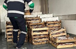 Aykırı avcılıkta 173 kasa barbunyaya el konuldu!