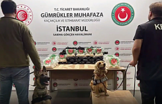 Gümrük Muhafaza'dan zehir tacirlerine geçit...