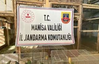 Jandarmadan Operasyon! Üretimi ve Ticareti Yasak...