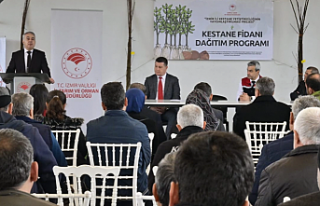 İzmir’de kestane üreticilerine hibe desteği:...