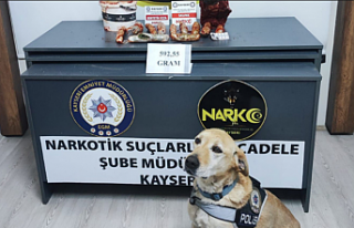 Kayseri’de yapılan operasyonda salça bidonunda...