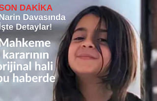 Narin Davasında İşte Detaylar! Mahkeme kararının...