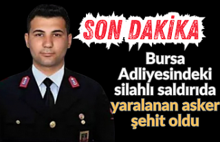 SON DAKİKA! Bursa Adliye'sindeki silahlı saldırıda...