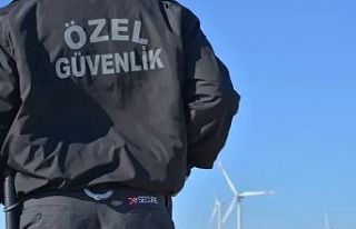 En çok personel 'özel güvenlik'te istihdam...