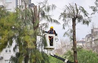 İzmir Bornova’da kışa hazırlık başladı