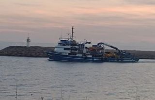 Saros'ta gırgır tekneleri tonlarca balık avlıyor