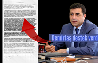 Selahattin Demirtaş, sürece destek verdiğini açıkladı