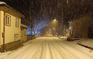 Bilecik Pazaryeri’nde kar yağışı etkili oluyor