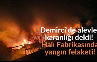 Demirci'de alevler karanlığı deldi! Halı...