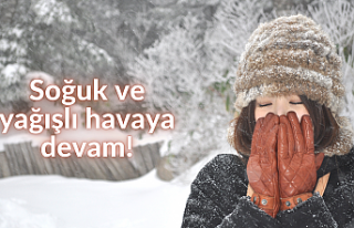 Soğuk ve yağışlı havaya devam!