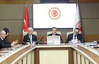 Çocukların şiddet ve istismardan korunmasını...