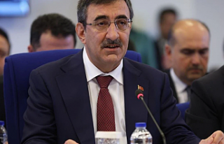 Cumhurbaşkanı yardımcısı Yılmaz: Terörsüz...