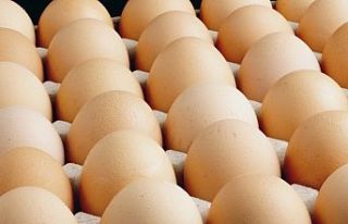 Egeli ihracatçılar: Yumurtada fon kesintisi ihracatı...