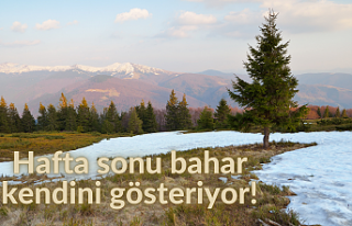 Hafta sonu bahar kendini gösteriyor!
